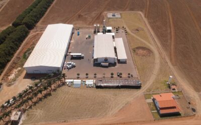 AGRONELLI- Porto Real- Obra Industrial