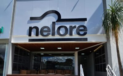 NELORE BRASIL -Uberaba-MG